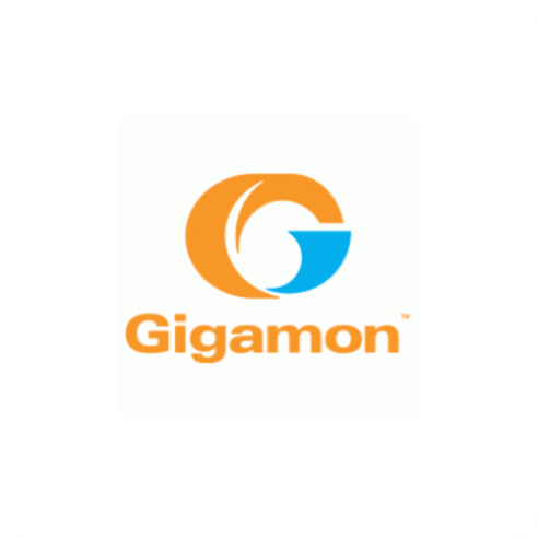 Gigamon